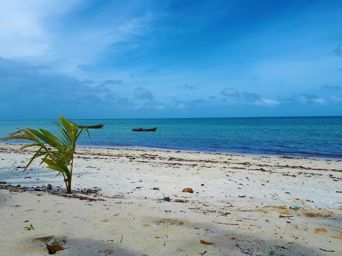 avec 14 chambre Radhanagar beach Extérieur photo